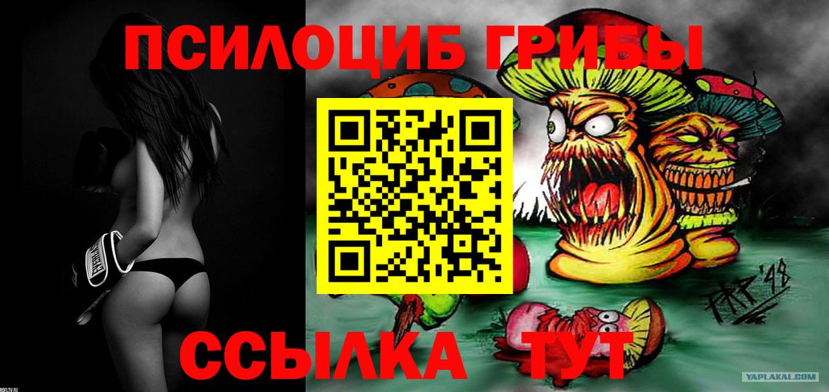 Зима  Псилоцибиновые грибы MAGIC MUSHROOMS  Вход с VPN 